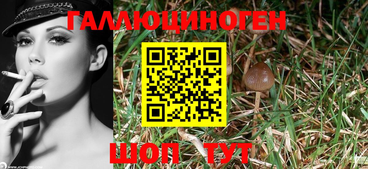 Галлюциногенные грибы мухоморы Чусовой